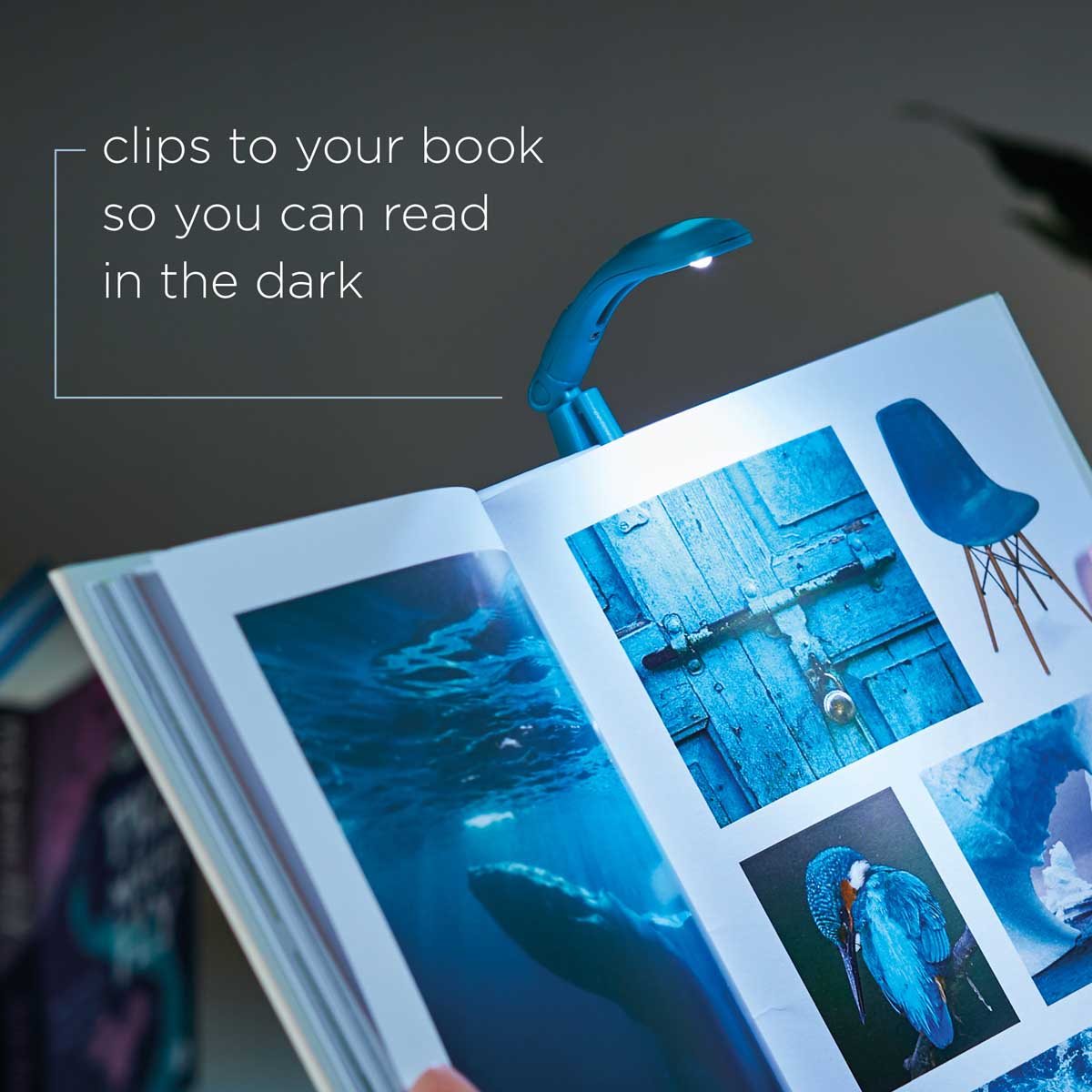 Really Tiny Booklight - Blue