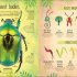 The Book of Brilliant Bugs