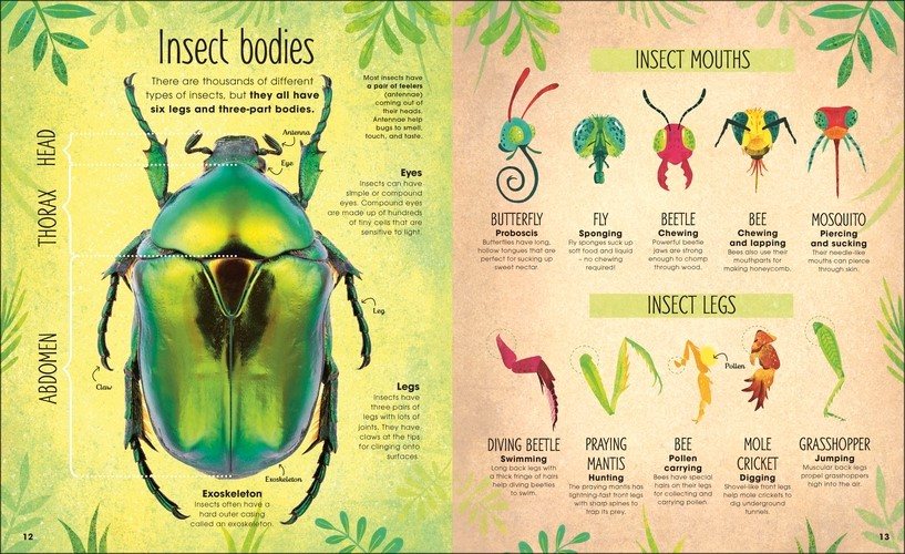 The Book of Brilliant Bugs
