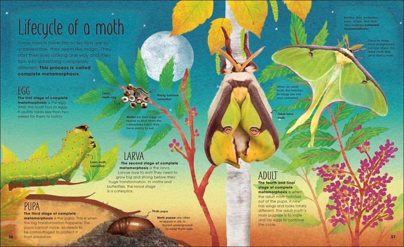 The Book of Brilliant Bugs