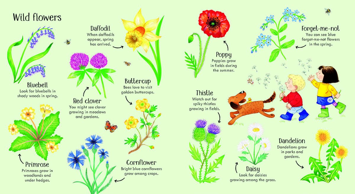 Poppy and Sam's Nature Spotting Book