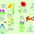 Poppy and Sam's Nature Spotting Book