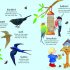 Poppy and Sam's Nature Spotting Book