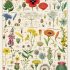 Wildflower 1000 piece jigsaw puzzle