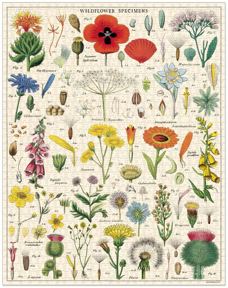 Wildflower 1000 piece jigsaw puzzle