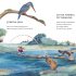 The Jackie Morris Book of Classic Nursery Rhymes