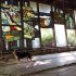 Chernobyl: A Stalkers’ Guide