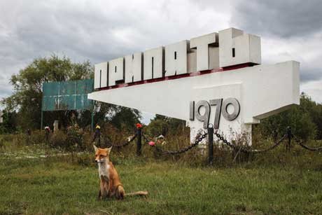 Chernobyl: A Stalkers’ Guide