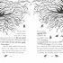 Pages & Co.: Tilly and the Lost Fairy Tales