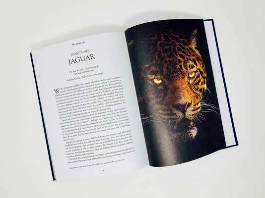 History of the World in 100 Animals