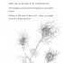 The Little Book of Humanism