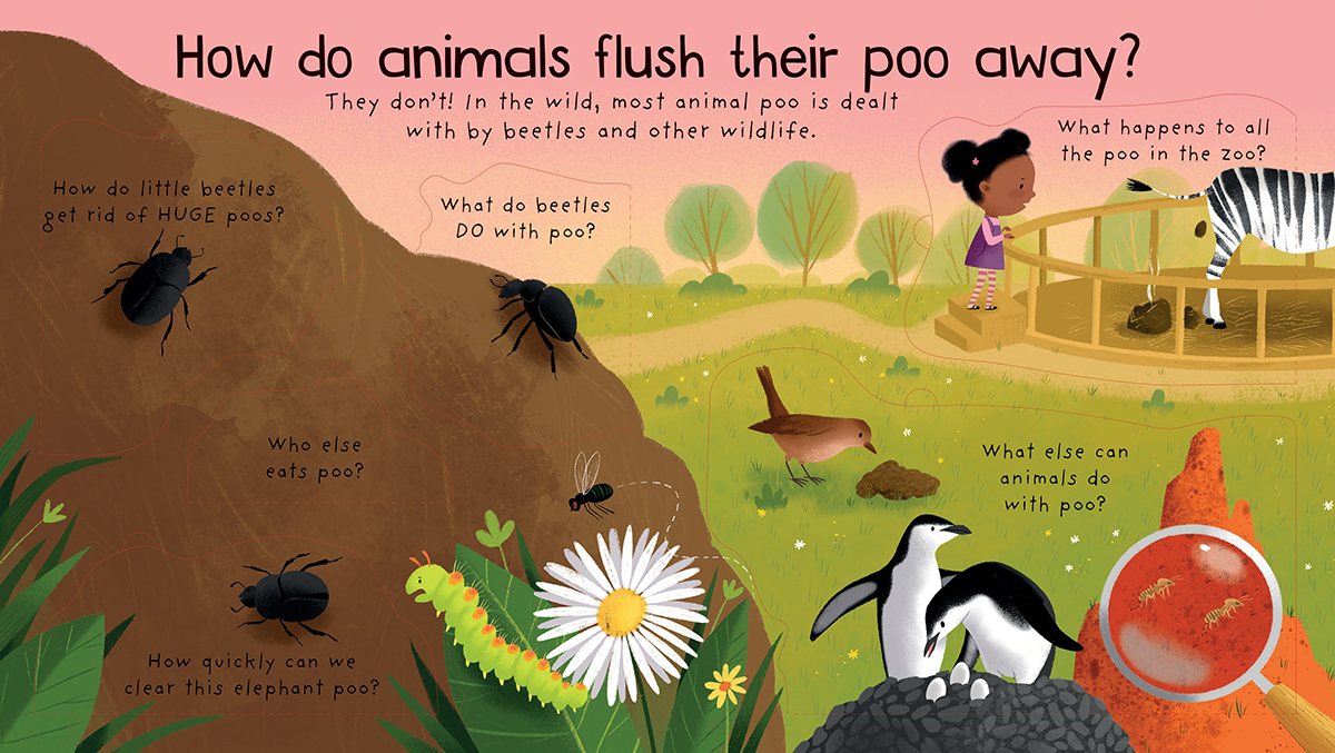First Questions and Answers: Where Does Poo Go?