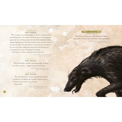 Harry Potter – A Magical Year