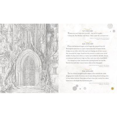 Harry Potter – A Magical Year