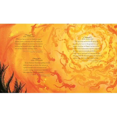 Harry Potter – A Magical Year