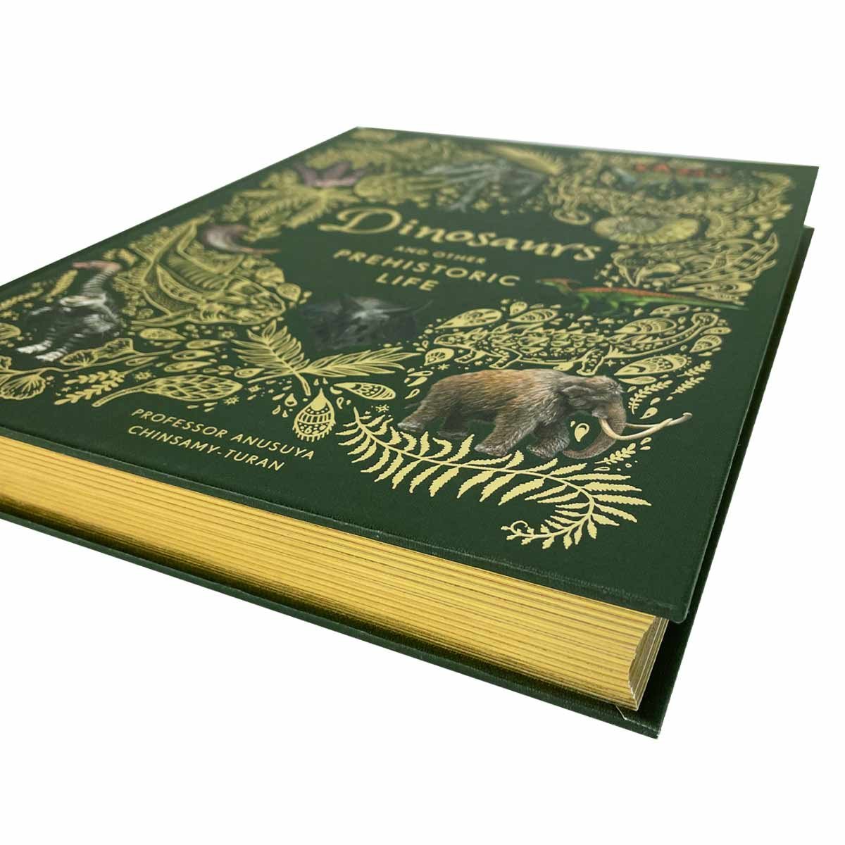 Dinosaurs and Other Prehistoric Life