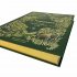 Dinosaurs and Other Prehistoric Life