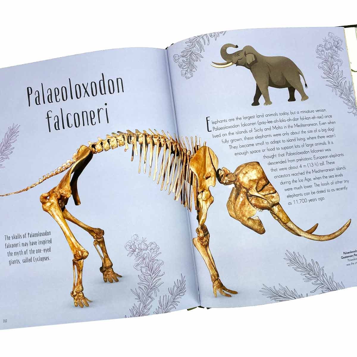 Dinosaurs and Other Prehistoric Life