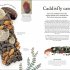 Nature's Treasures