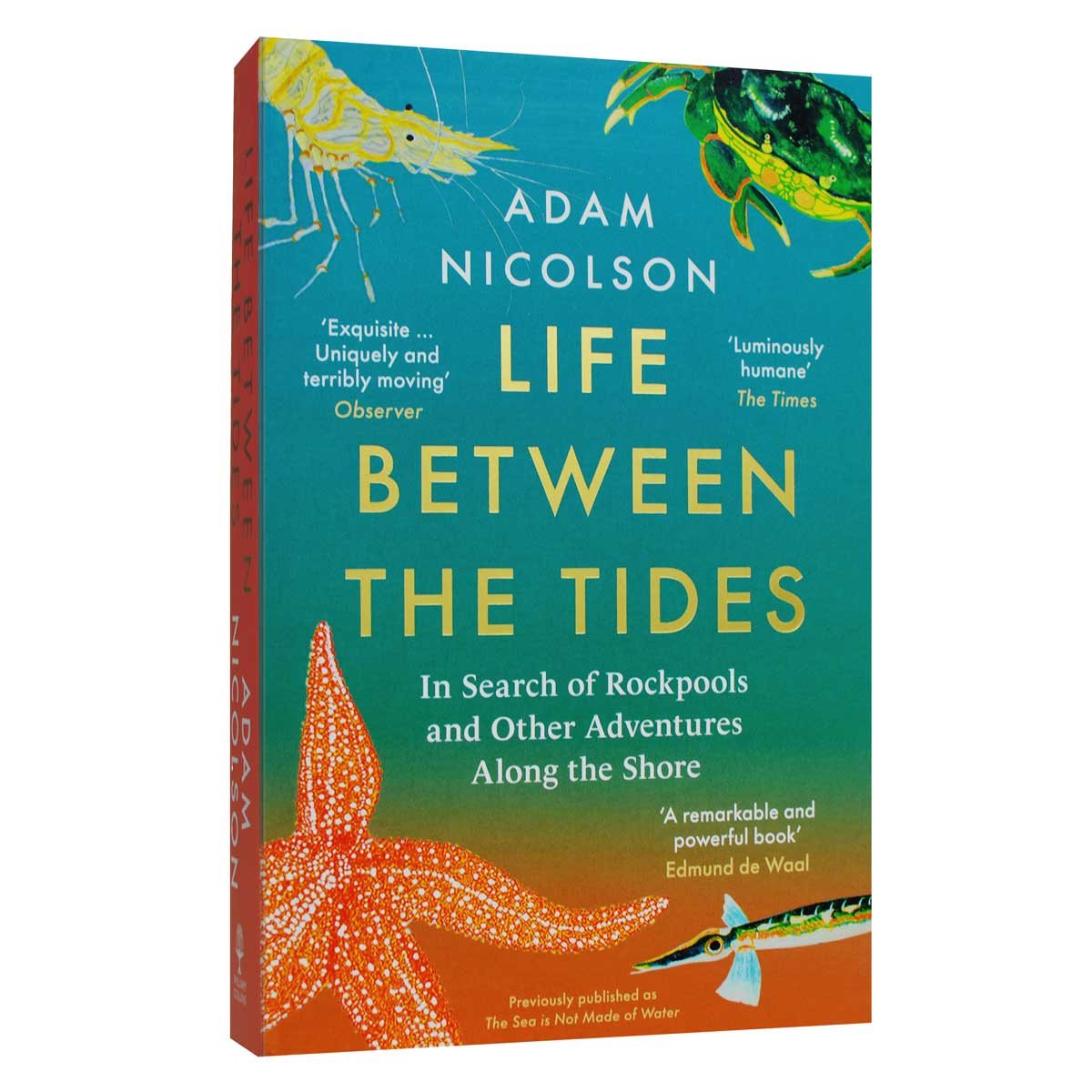 Life Between the Tides