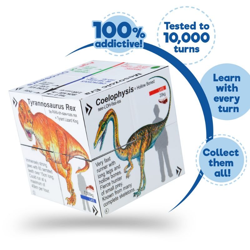 Dinosaurs Cube Book