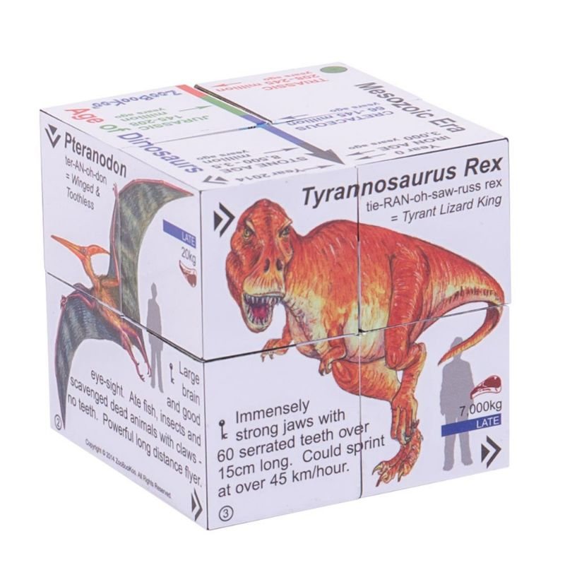 Dinosaurs Cube Book
