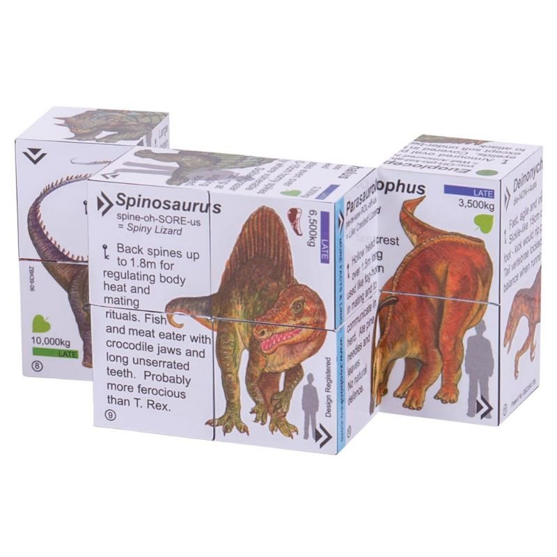 Dinosaurs Cube Book