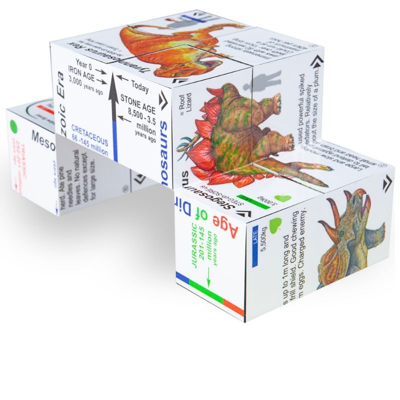 Dinosaurs Cube Book