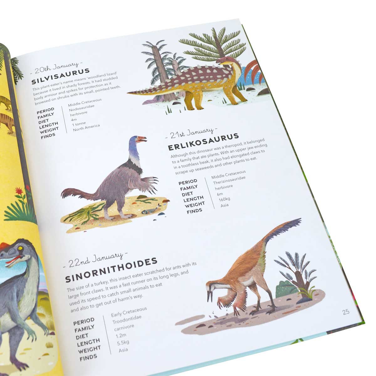 A Dinosaur A Day