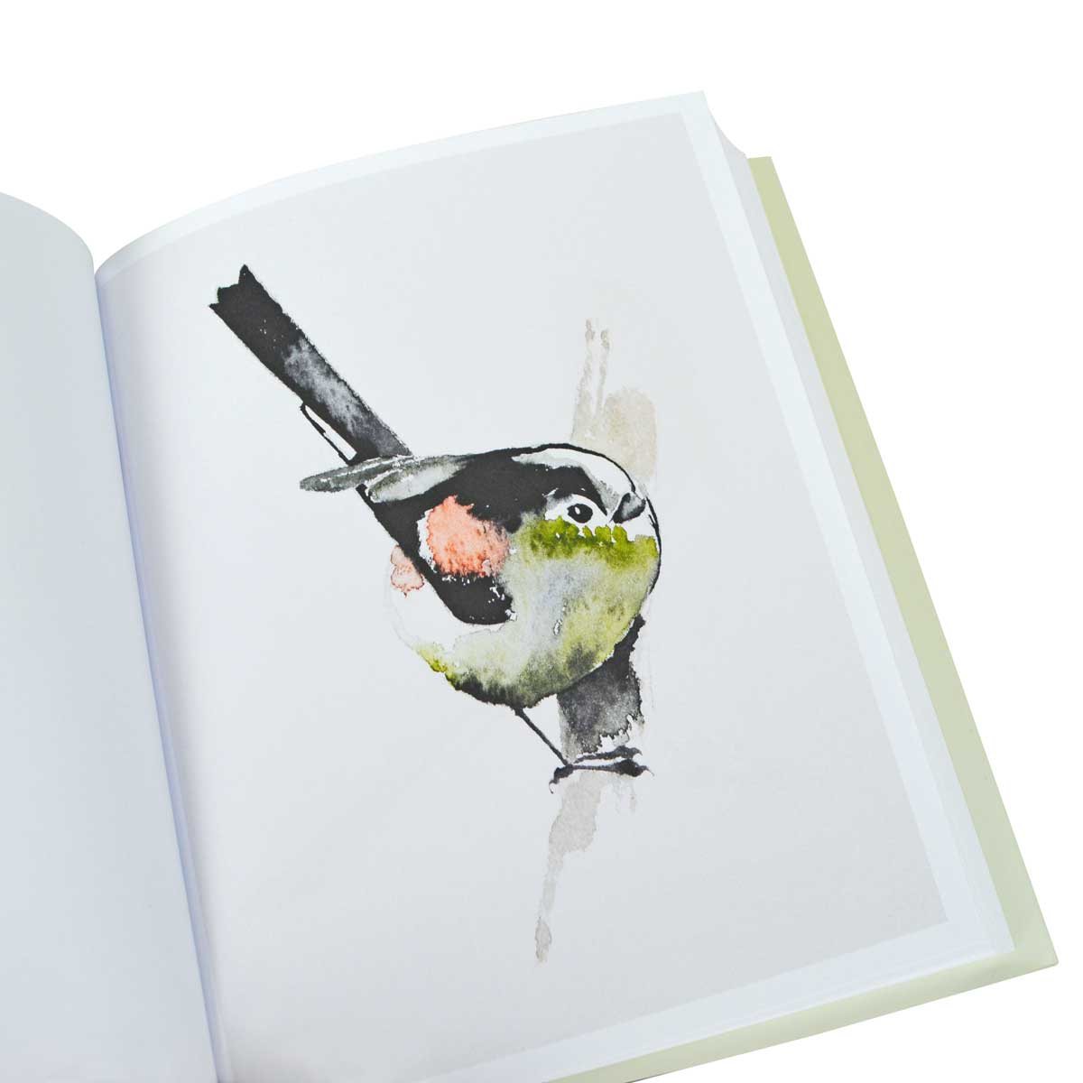 Birds