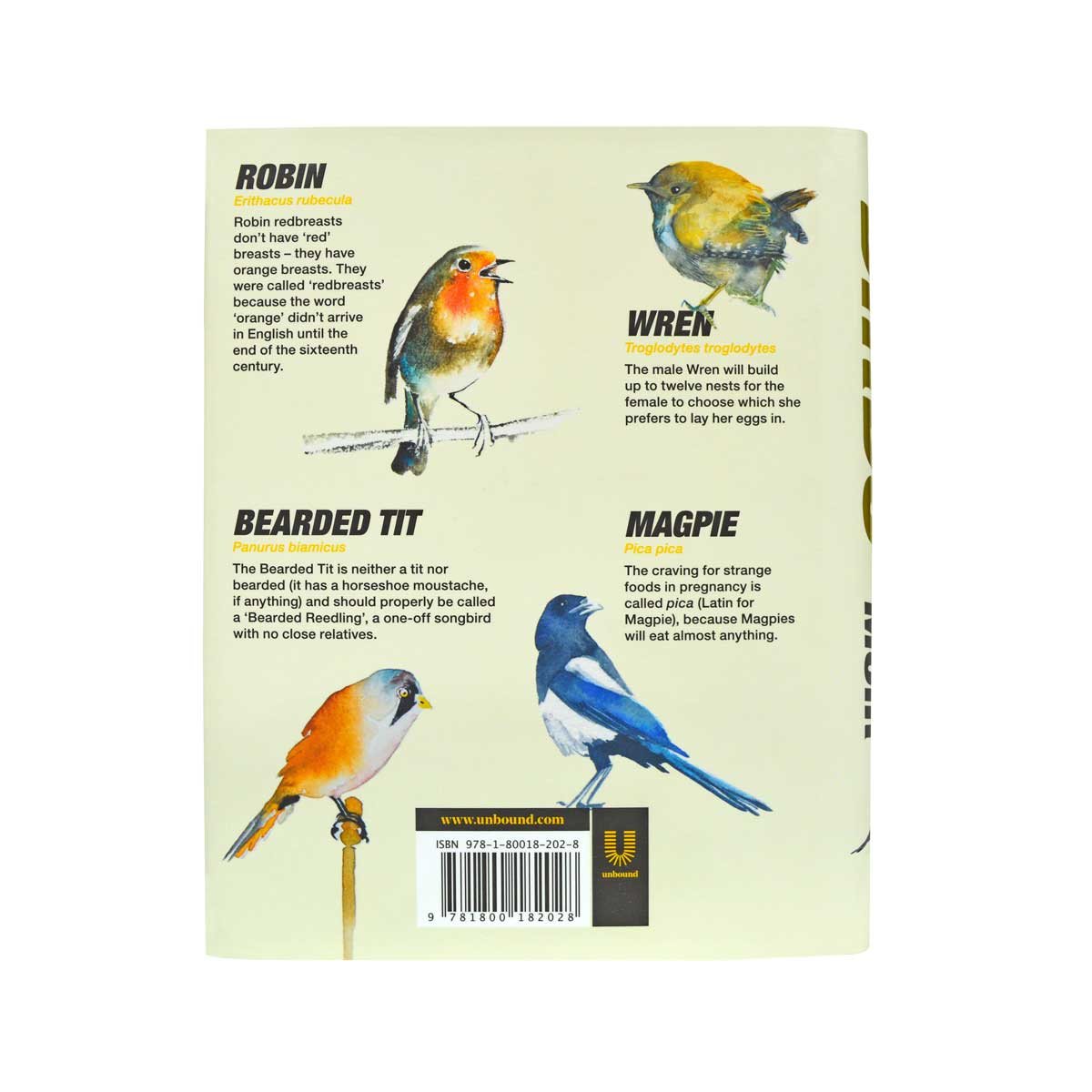 Birds
