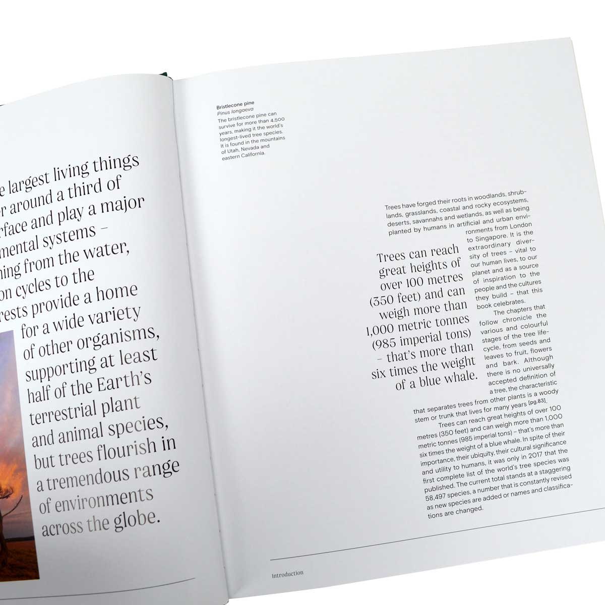 Trees: From Root to Leaf – A Financial Times Book of the Year