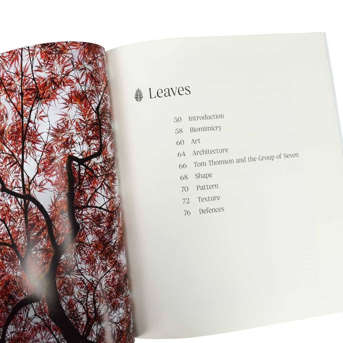 Trees: From Root to Leaf – A Financial Times Book of the Year