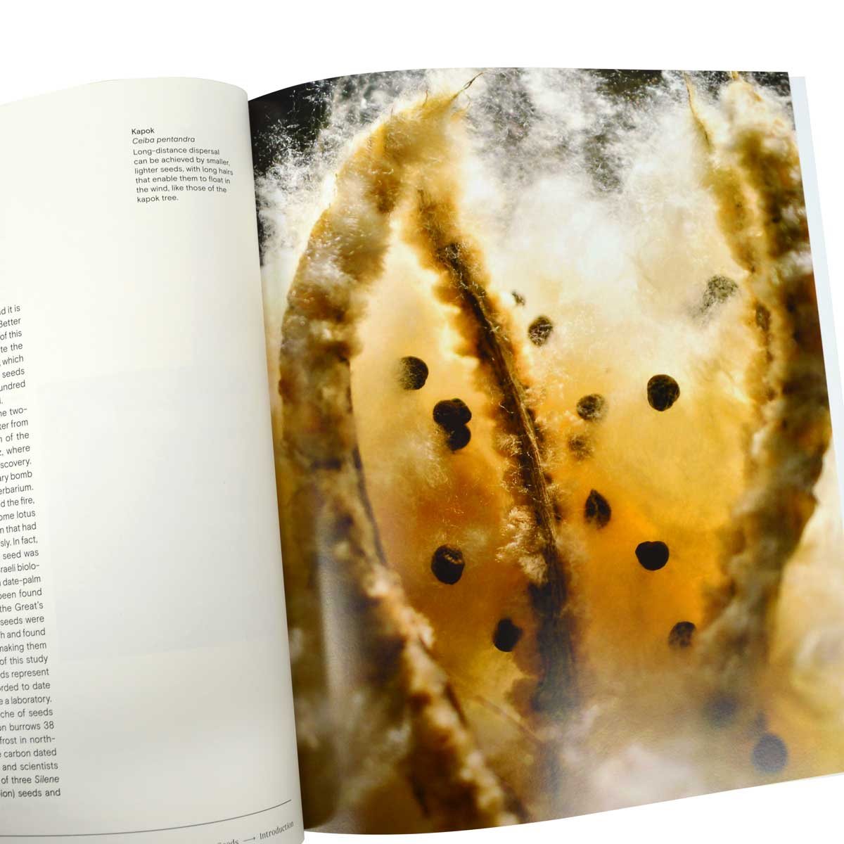 Trees: From Root to Leaf – A Financial Times Book of the Year