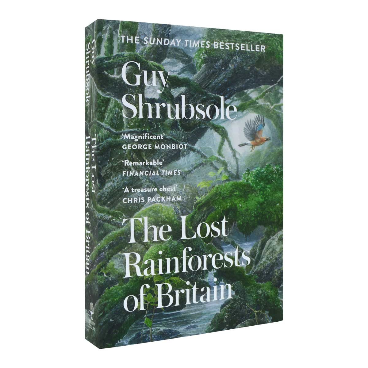 The Lost Rainforests of Britain