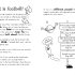The Funny Life of Football - WINNER of The Sunday Times Children’s Sports Book of the Year 2023