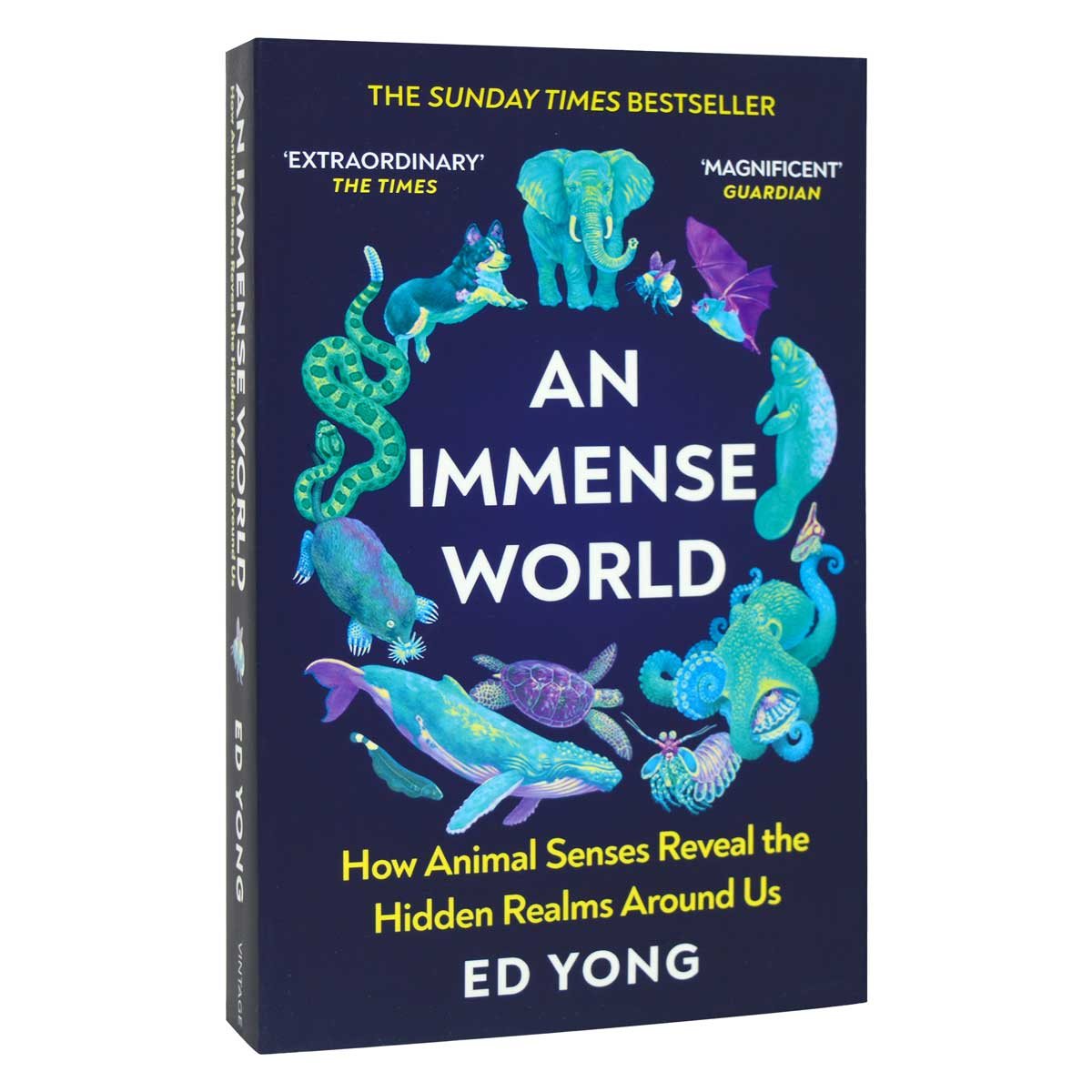 An Immense World