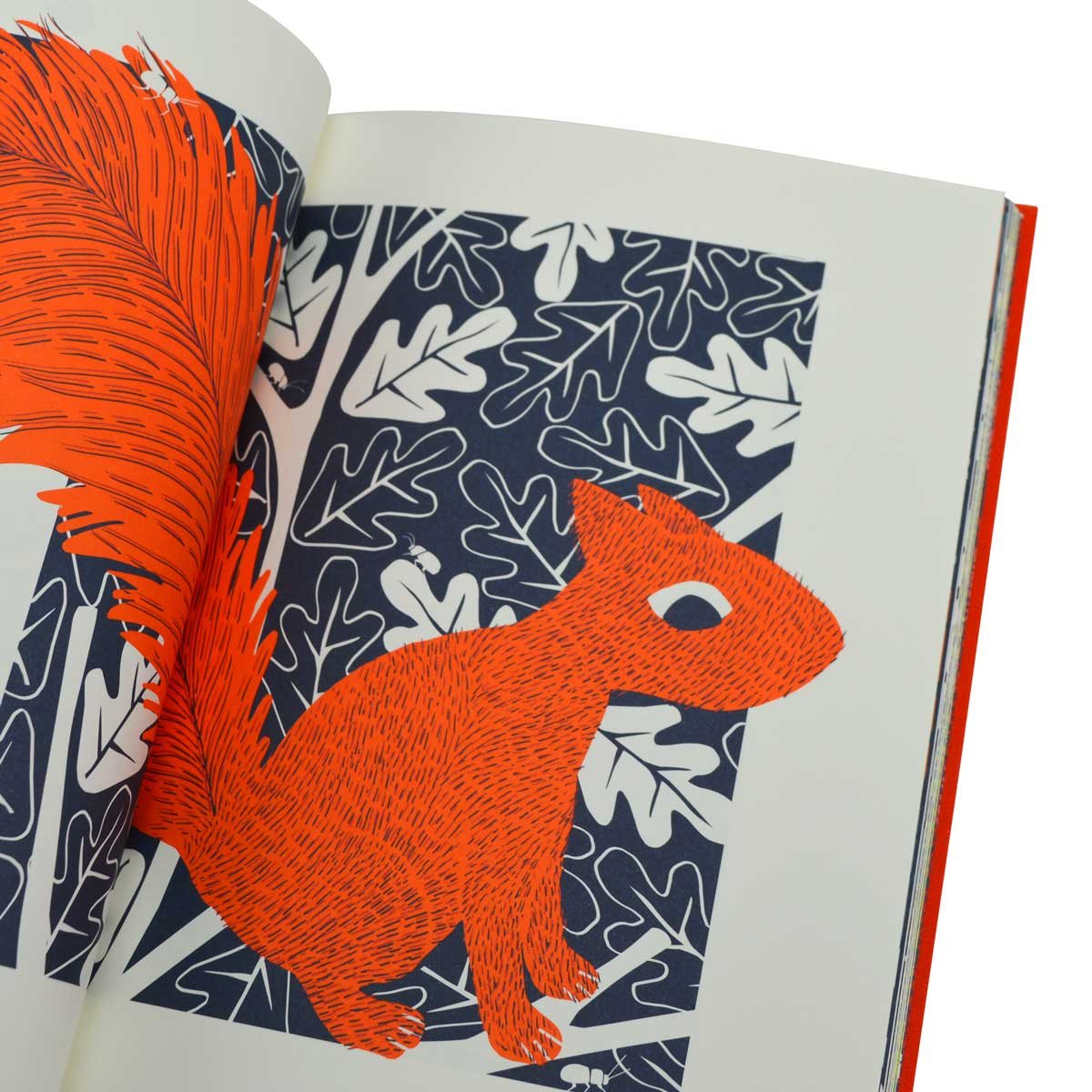 The Squirrel and the Lost Treasure