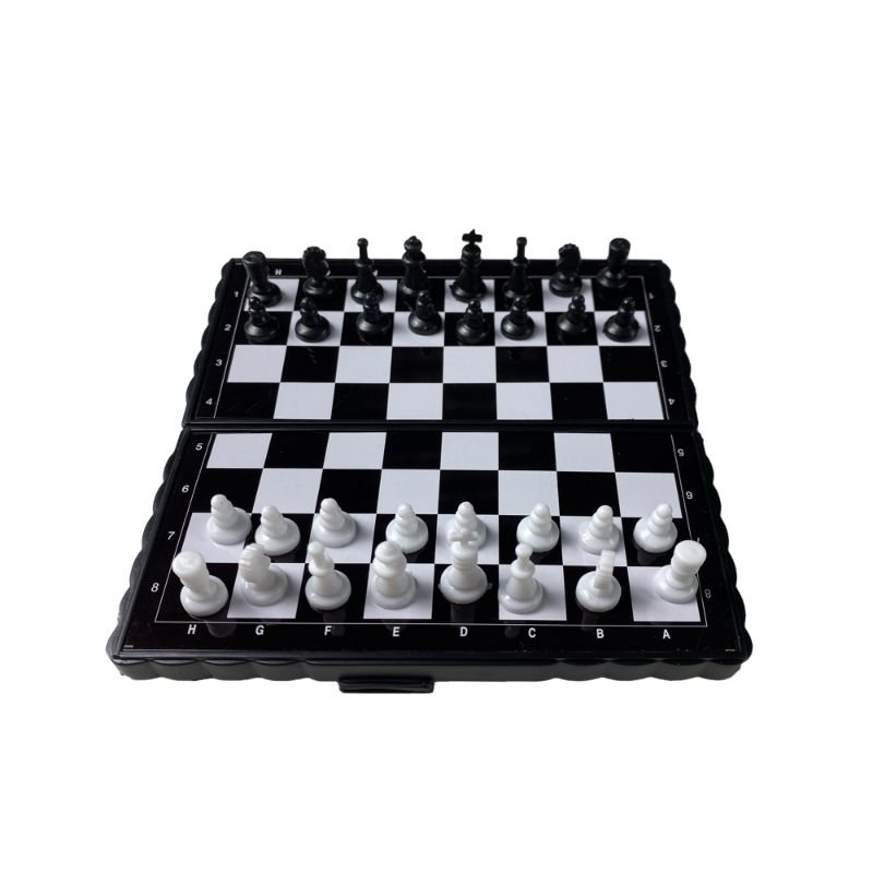 Magnetic Chess