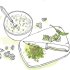 Madhur Jaffrey's Indian Cookery