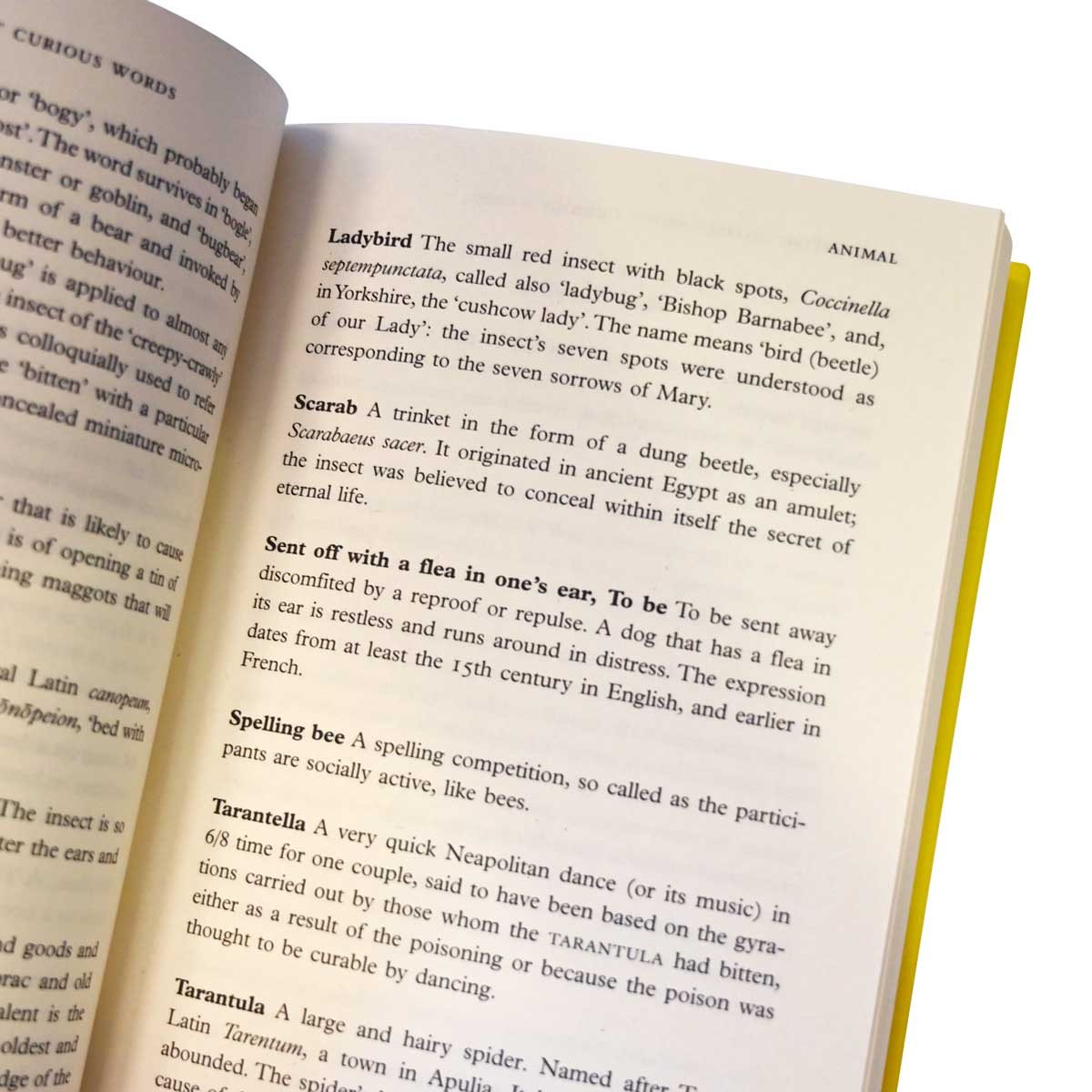 Interesting Stories about Curious Words