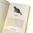 Interesting Stories about Curious Words
