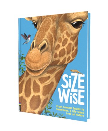 Size Wise
