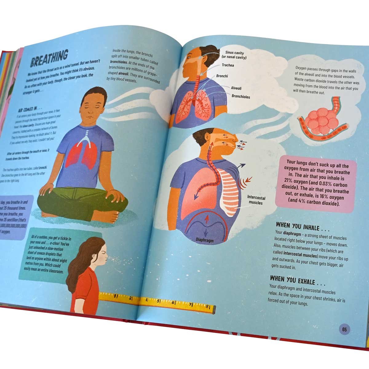 A Really Short Journey Through the Body