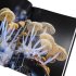Entangled Life (The Illustrated Edition)