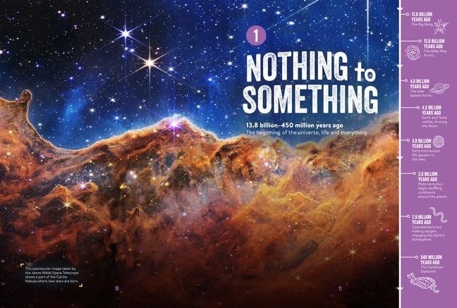 Absolutely Everything! Revised and Expanded