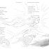 Gods and Monsters - Mythological Poems