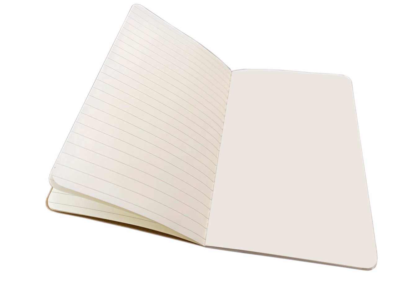 Bodleian Libraries Set of 3 Mini Notebooks