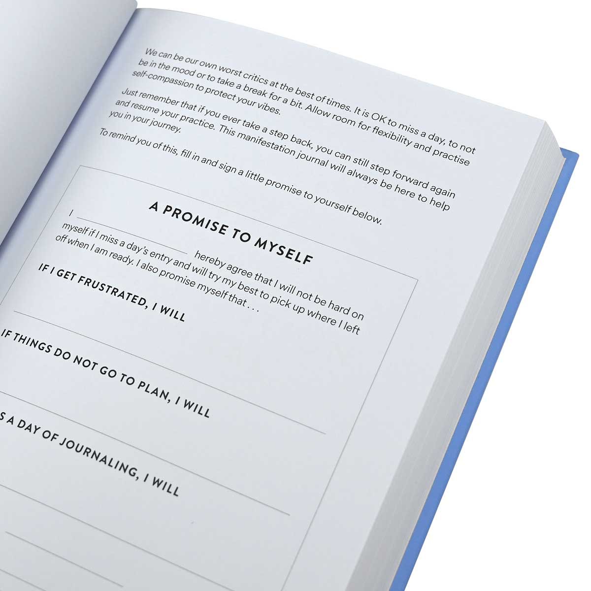 The Greatest Manifestation Book (is the one written by you)