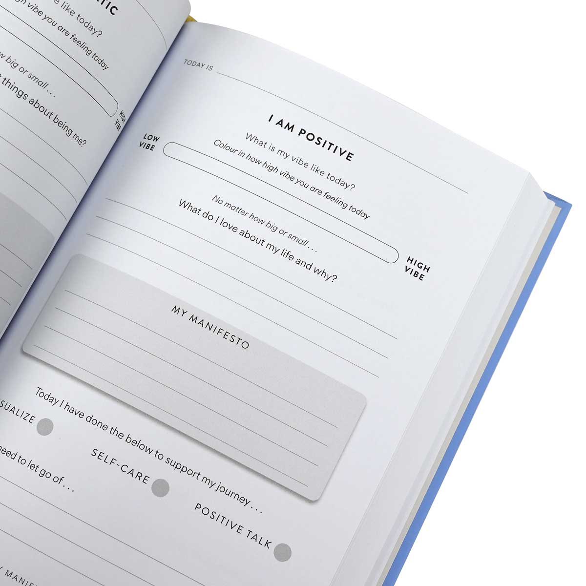The Greatest Manifestation Book (is the one written by you)